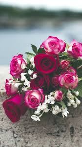 Pinterest Mikharg Beautiful Rose Flowers Beautiful Flowers Images Flowers Bouquet Gift