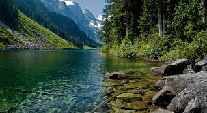 Check spelling or type a new query. Nature Wallpaper Background Laptop