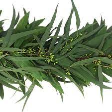 Willow Seeded Eucalyptus Garland Eucalyptus Garland Seeded Eucalyptus Willow Garland