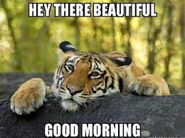 80 Good Morning Memes To Kickstart Your Day Sayingimages Com