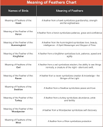 Symbolism Birds And Their Meanings Bird Feather Meanings Feather Meaning Bird Meaning Meant To Be