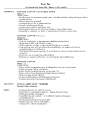 financial account resume samples
