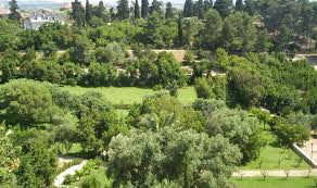 Banche ed istituti di credito e risparmio. Giardini Storici Della Sardegna Sardegnaturismo Sito Ufficiale Del Turismo Della Regione Sardegna