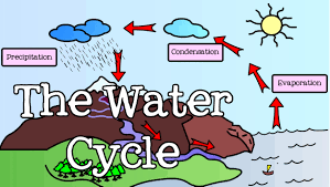 all about the water cycle for kids introduction to the