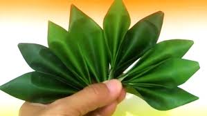 Nah, mungkin dari temen temen ada. Cara Ekspor Daun Pisang Ke Jepang 5 Metode Mudah Dan Terbaru