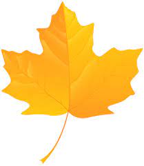 Yellow Leaf Png Clip Art Best Web Clipart Fall Leaves Png Yellow Leaves Fall Clip Art