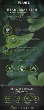 Pin On Plant Journal