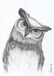 Informations About Notitle Pin You Can Easily Use My Profile To Examine Different Pin Types Notitle In 2020 Owls Drawing Animal Drawings Animal Drawings Sketches