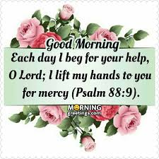 We did not find results for: 30 Good Morning Bible Quotes Images Morning Greetings Morning Quotes And Wishes Images