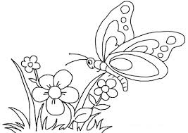 Disegno Di Fiore Con Farfalla Da Stampare Gratis E Da Colorare Per