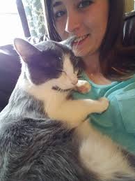 3.55am was disturbed but 2 young boys walking passed my house they looked  about 10 years old. Hope they got home safe and guessing their parents  didn't know they were out.