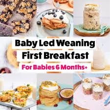 Maybe you would like to learn more about one of these? Baby Led Weaning Breakfast Ideas Babies 6 Months Baby Led Feeding