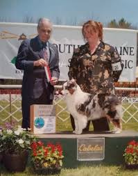 Please contact us about making deposits for the puppy of your choice. Schaefer S Miniature American Shepherds Miniature Australian Shepherd Breeder In Garysburg North Carolina