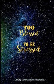 There are so many special moments to celebrate with peace and joy. Too Blessed To Be Stressed Daily Gratitude Journal For Men 220 Days Motivational Diary Galaxy Sky