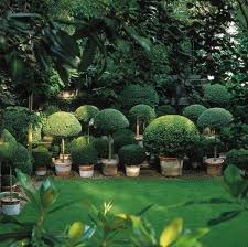 Anouska Hempel On Instagram Through The Trees Lies A Topiary Tribe Anouska Hempel Garden Design Hol Garden Design Pretty Gardens Topiary