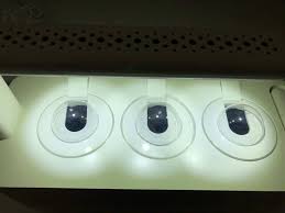 Indoor gardens are a great way to grow fresh plants and herbs from the comfort of your home, boosting their nutrition and giving you something fun to keep busy with. Zbwafyzslppnwm