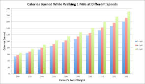 Liss Cardio Vs Hiit Which Is Better For Burning Fat