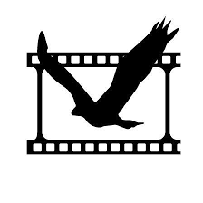 Yes, of course a bird is an animal! Animals For Film Tv Commercials Production Services Source Media Tv