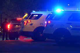 Rcmp say a woman died after being attacked by a black bear while camping in northern saskatchewan. Major Crimes Called In After Two Bodies Discovered Near Penticton Vernon Morning Star