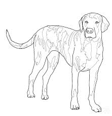 You will definitely find a picture for yourself. Mastiff Coloring Pages To Download And Print For Free