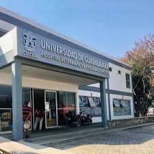 Hospital Veterinario para Pequeñas Especies