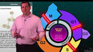 This can help students to help teach their students. The Eukaryotic Cell Cycle And Cancer
