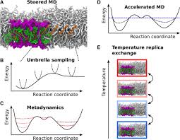 Similarly, even when selection overwhelms genetic drift, it can only act on variation that mutation provides. Molecular Dynamics Simulations In Photosynthesis Springerlink