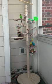 Diy Wood Gym Stand Diy Bird Toys Bird Toys Diy Bird Cage