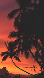 Scarlett johansson hot beach pictures, celebrity, celebrities. Wallpaper Beach Sunset Palm Trees Vibes Moody Warm 938x1668 Rdss 1520861 Hd Wallpapers Wallhere