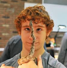 Photo gallery: Reptile show