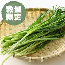青森県産 葉にんにく にんにくのよしだ家 青森にんにく種子の栽培 販売 通販