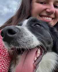 Daniel Meissner (@acooksjourney) • Instagram photos and videos