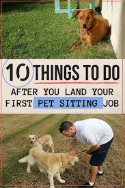 Find local pet sitters easily: 10 Things To Do After You Land Your First Pet Sitting Job Goats On The Road Pet Sitting Jobs Dog Sitting Business Dog Walking Business