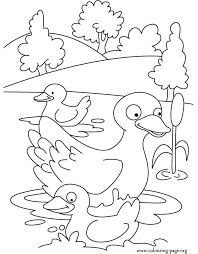 Check out our duck coloring pages selection for the very best in unique or custom, handmade pieces from our shops. Coloring Pages Of Ducks Coloring Home