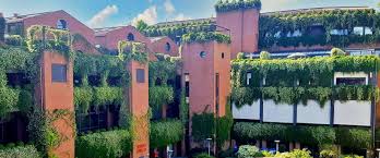 Polimi graduate school of management