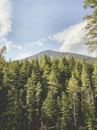 Rachel Clegg Bucher, Ph.D.