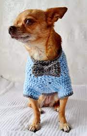 Crochet Dog Sweater Dog Sweater With Bow The Oxford Dog Sweater Crochet Dog Clothes Crochet Dog Sweater Crochet Dog