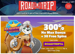 Cool Cat Casino No Rules Bonuses Nabble Casino Bingo Casino Cool Cats Bonus
