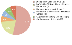 Image result for Rotheca luembensis