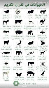 الحيوانات في القرآن الكريم islam facts islam beliefs islamic quotes quran