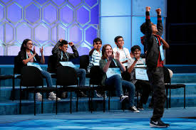 Image result for Sorindeia winkleri