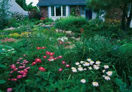Most shade tolerant trees are small, understory trees that grow naturally in woods openings or along forest edges. Defining The New American Cottage Garden Finegardening