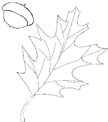 Dogs love to chew on bones, run and fetch balls, and find more time to play! Oak Leaf Outline Clip Art Templates Pinterest Leaves Tree Coloring Library