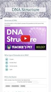 Here, we cover the essentials. Dna Structure Interactive Worksheet By Carolyn Marzen Wizer Me