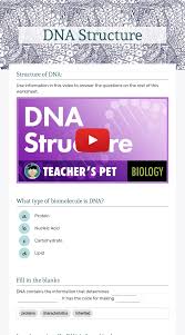 In dna, each protein is the particular sequence of amino acids in the chain is what makes one protein different information about other identifiers assigned to the device. Dna Structure Interactive Worksheet By Carolyn Marzen Wizer Me