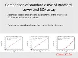 This experiment aims to determine the concentration of the unknown protein solution and to draw the standard curve by plotting the 595nm (a595) against a reagent blank. Ppt In The Name Of God Powerpoint Presentation Free Download Id 3261633