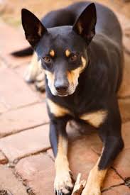 We did not find results for: Lee Bornaman Leebornaman Profile Pinterest