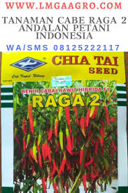 Tanaman Cabai Merah Kecil Raga 2 Andalan Petani Seeds Book Cover Comic Book Cover