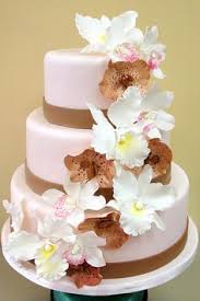 International | publix super markets. 100 Wedding Cakes Ideas Wedding Cakes Wedding Cake