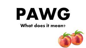 PAWG Meaning - YouTube